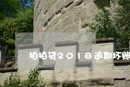 拍拍贷2018逾期坏账 拍拍贷2018逾期坏账
