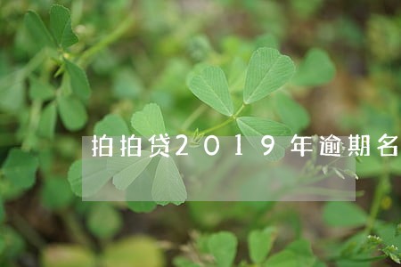 拍拍贷2019年逾期名单 拍拍贷2019年逾期名单