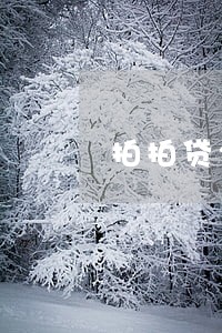 拍拍贷2019逾期 拍拍贷2019逾期