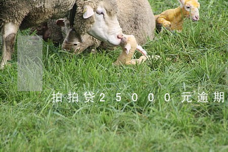 拍拍贷25000元逾期半年了 拍拍贷25000元逾期半年了