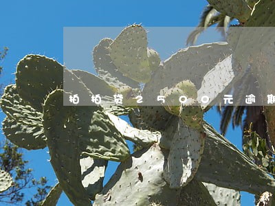 拍拍贷2500元逾期 拍拍贷2500元逾期