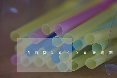 拍拍贷30000元逾期 拍拍贷30000元逾期