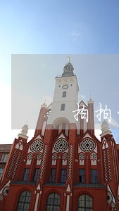 拍拍贷3000逾期3年