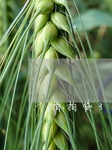 拍拍贷350逾期 拍拍贷350逾期