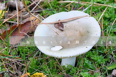 拍拍贷3万逾期了说立案 拍拍贷3万逾期了说立案