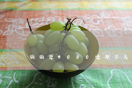 拍拍贷4000逾期不关 拍拍贷4000逾期不关