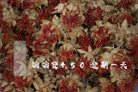 拍拍贷450逾期一天 拍拍贷450逾期一天
