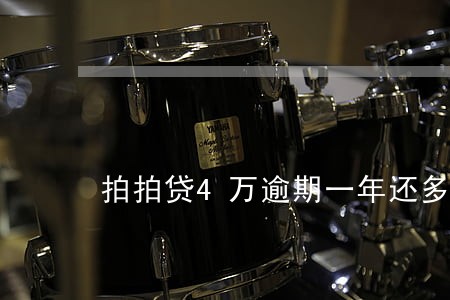 拍拍贷4万逾期一年还多少 拍拍贷4万逾期一年还多少
