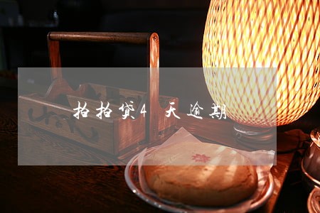 拍拍贷4天逾期 拍拍贷4天逾期