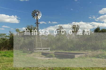 拍拍贷5000逾期 拍拍贷5000逾期