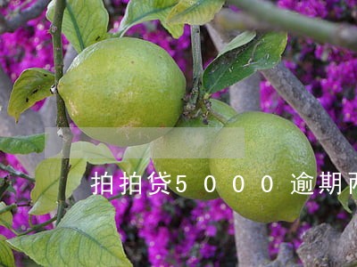 拍拍贷5000逾期两年只叫还本 拍拍贷5000逾期两年只叫还本