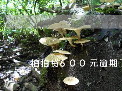 拍拍贷600元逾期了2年还多少