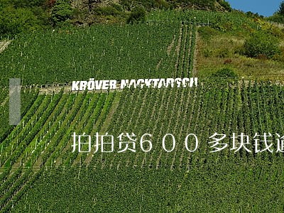 拍拍贷600多块钱逾期了半个月
