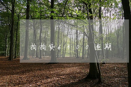 拍拍贷6300逾期 拍拍贷6300逾期