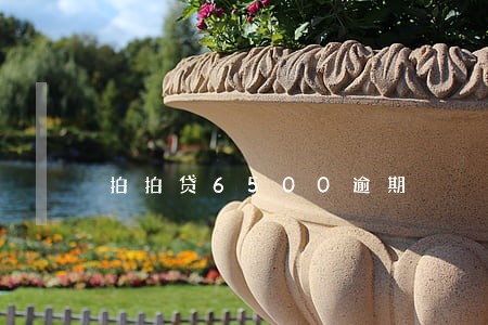 拍拍贷6500逾期 拍拍贷6500逾期