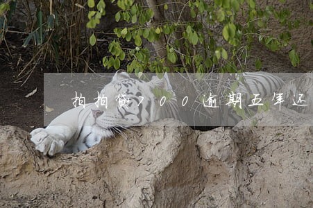 拍拍贷700逾期五年还多少 拍拍贷700逾期五年还多少