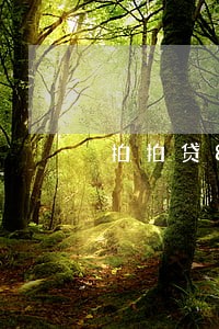 拍拍贷800逾期了不还 拍拍贷800逾期了不还