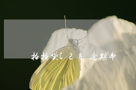 拍拍贷C28逾期率 拍拍贷C28逾期率