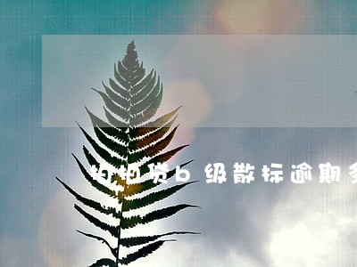拍拍贷b级散标逾期多吗6 拍拍贷b级散标逾期多吗6