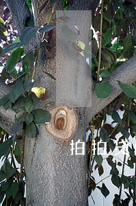 拍拍贷p2p散标逾期 拍拍贷p2p散标逾期
