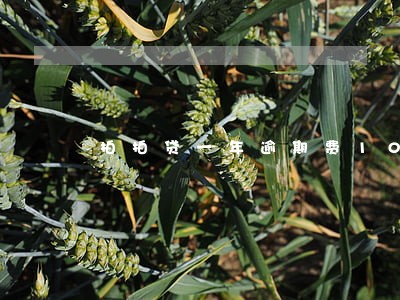 拍拍贷一年逾期费10000
