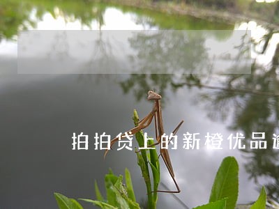 拍拍贷上的新橙优品逾期60天 拍拍贷上的新橙优品逾期60天