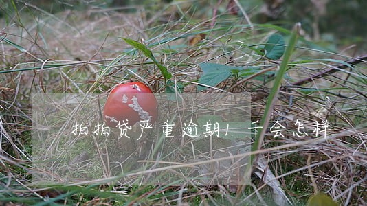 拍拍贷严重逾期1千会怎样 拍拍贷严重逾期1千会怎样
