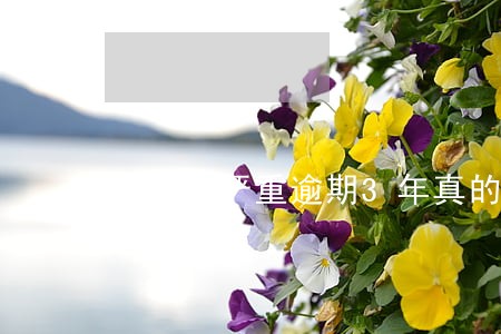 拍拍贷严重逾期3年真的会上门吗 拍拍贷严重逾期3年真的会上门吗