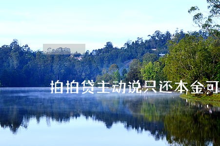拍拍贷主动说只还本金可信吗 拍拍贷主动说只还本金可信吗
