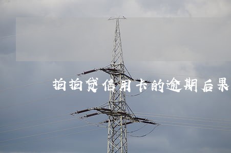 拍拍贷信用卡的逾期后果 拍拍贷信用卡的逾期后果