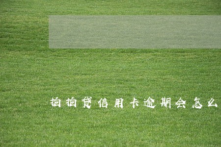 拍拍贷信用卡逾期会怎么样 拍拍贷信用卡逾期会怎么样