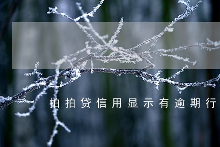 拍拍贷信用显示有逾期行为靠谱吗