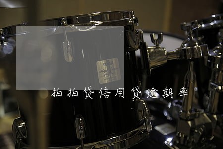 拍拍贷信用贷逾期率 拍拍贷信用贷逾期率