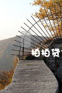 拍拍贷信用钱包逾期