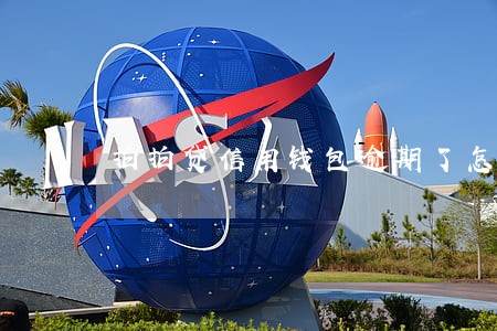 拍拍贷信用钱包逾期了怎么办 拍拍贷信用钱包逾期了怎么办