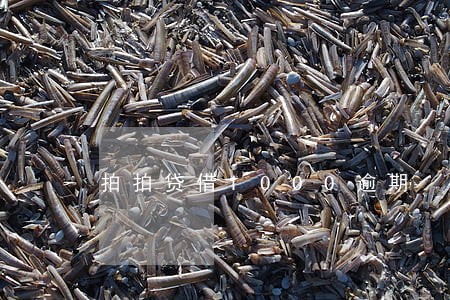 拍拍贷借1000逾期 拍拍贷借1000逾期