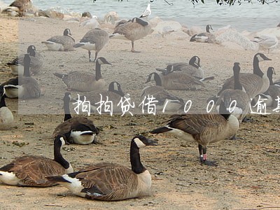 拍拍贷借1000逾期了