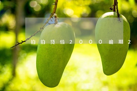 拍拍贷借2000逾期2个月 拍拍贷借2000逾期2个月
