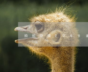 拍拍贷借2000逾期9个月 拍拍贷借2000逾期9个月