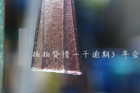 拍拍贷借一千逾期3年会怎么样 拍拍贷借一千逾期3年会怎么样