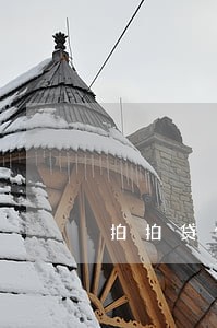 拍拍贷借了500逾期30天 拍拍贷借了500逾期30天