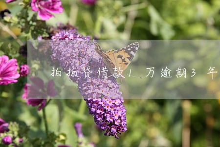 拍拍贷借款1万逾期3年了怎么办 拍拍贷借款1万逾期3年了怎么办