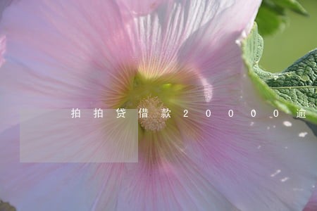 拍拍贷借款20000逾期