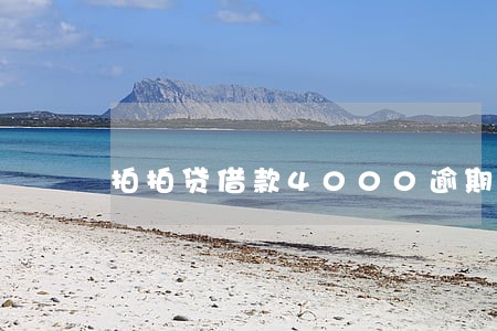 拍拍贷借款4000逾期200天 拍拍贷借款4000逾期200天