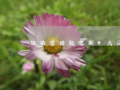 拍拍贷借款逾期4天没还 拍拍贷借款逾期4天没还