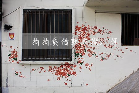 拍拍贷借款逾期5年 拍拍贷借款逾期5年