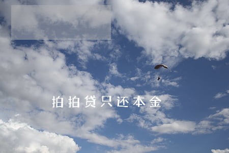 拍拍贷只还本金 拍拍贷只还本金