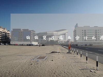 拍拍贷只还本金什么流程 拍拍贷只还本金什么流程