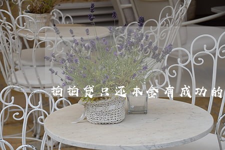 拍拍贷只还本金有成功的吗 拍拍贷只还本金有成功的吗