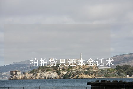 拍拍贷只还本金话术